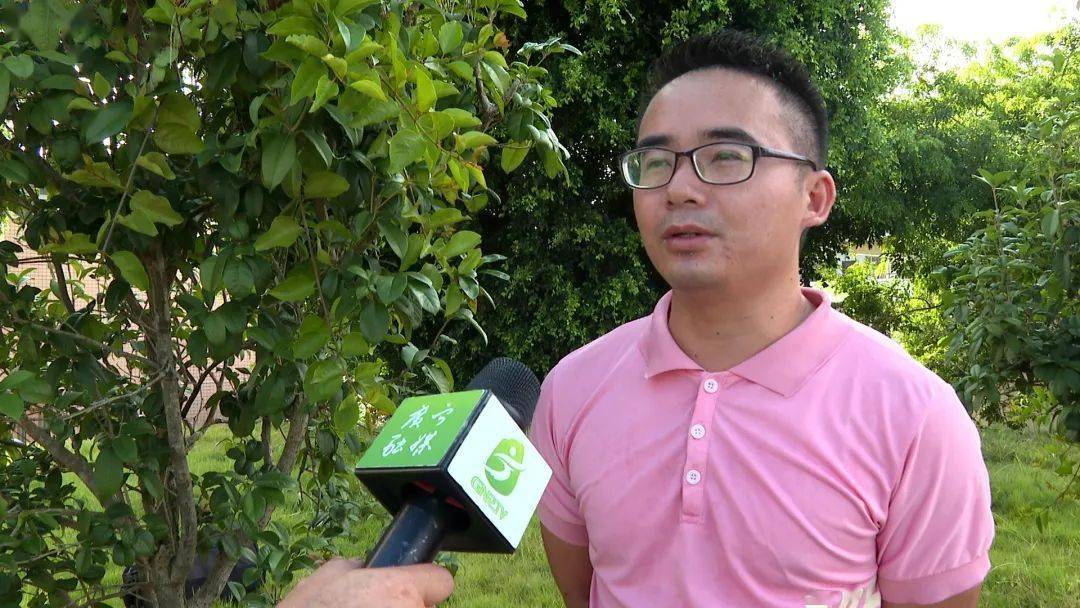 爱游戏app网页版官方入口：江屯镇举办单丛茶、龙须菜栽培技艺培训班(图4)