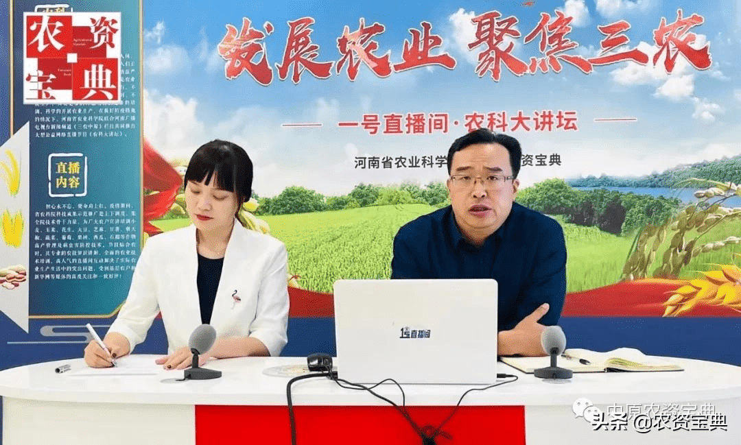 “既能留住人又能填充钱”步骤蔬菜安闲高效栽培本事来啦(图1)