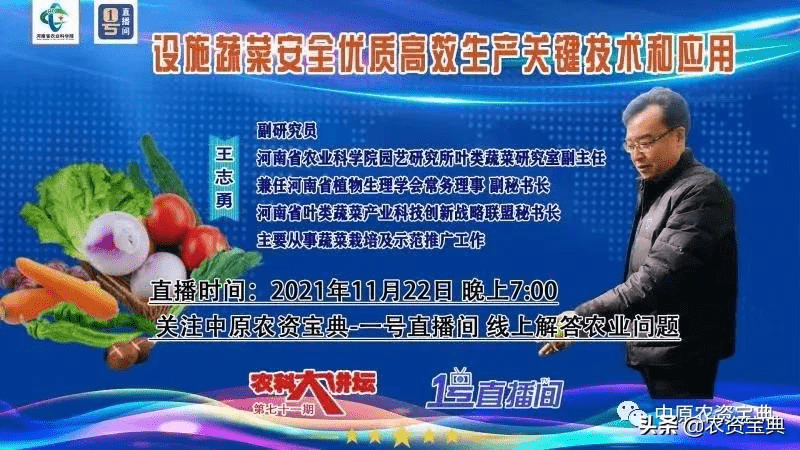 “既能留住人又能填充钱”步骤蔬菜安闲高效栽培本事来啦(图2)