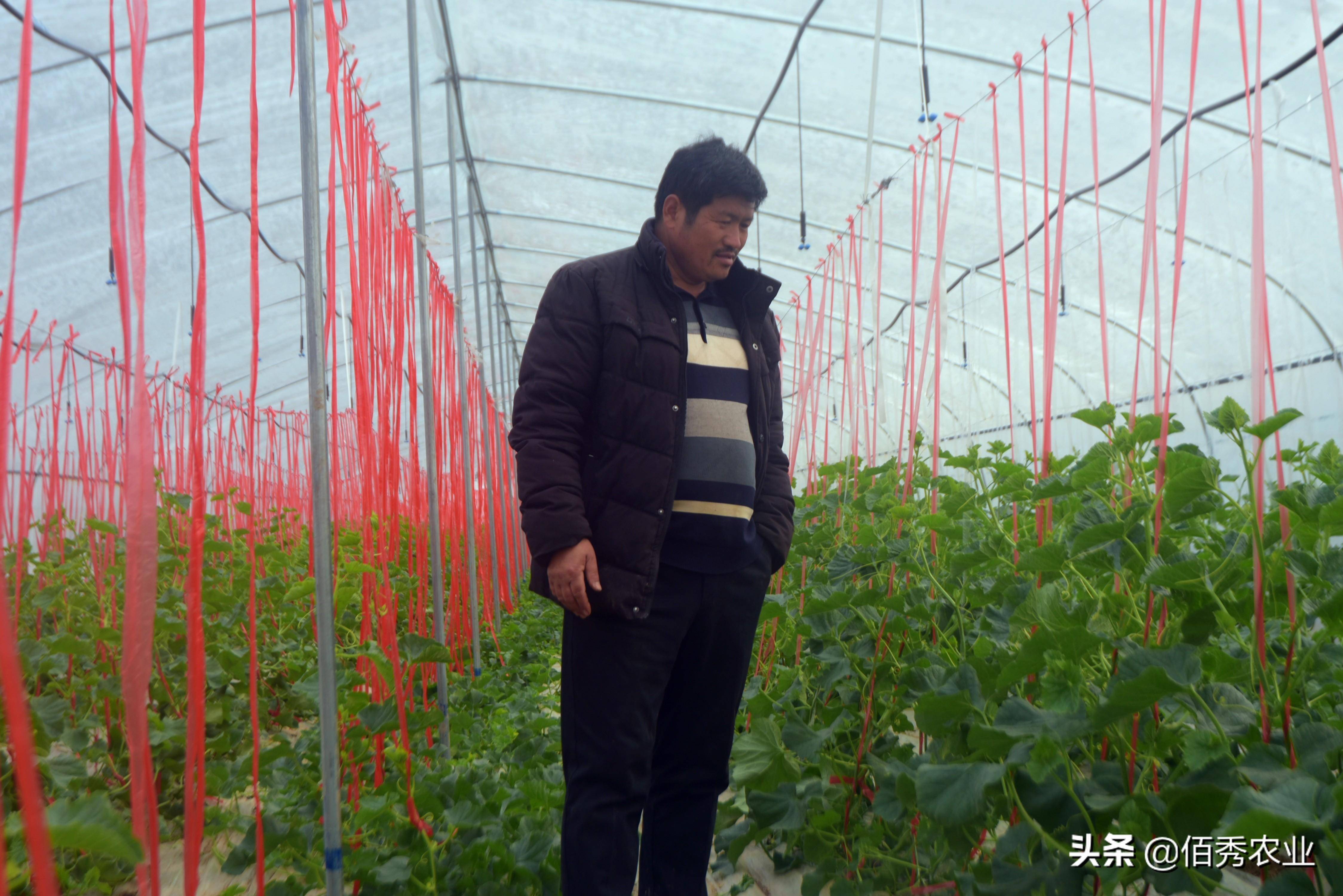 爱游戏app官方网站手机版：春节邻近农夫动手闭怀节后种植9个“种植宝典”助你解惑(图2)