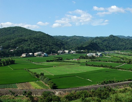 爱游戏app网页版官方入口：周旋农业屯子优先成长加快修筑农业强邦（深远练习贯彻习新时期中邦特点社会主义思念）