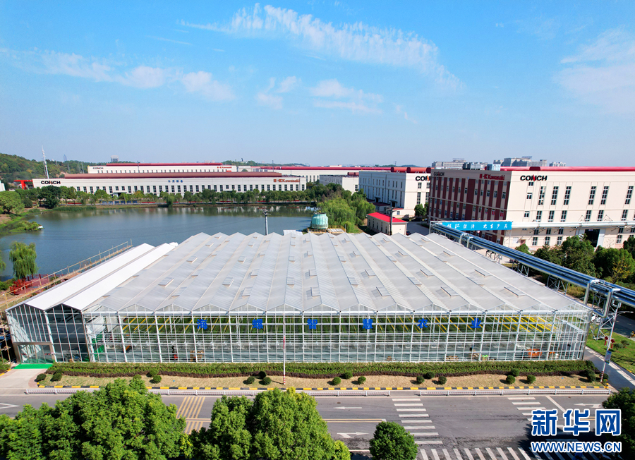 爱游戏app官方网站手机版：content(图4)