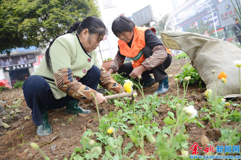 ayx爱游戏官方网页：种植的学问_
