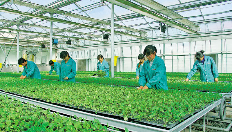 爱游戏app网页版官方入口：农业乡村当代化阔步前行