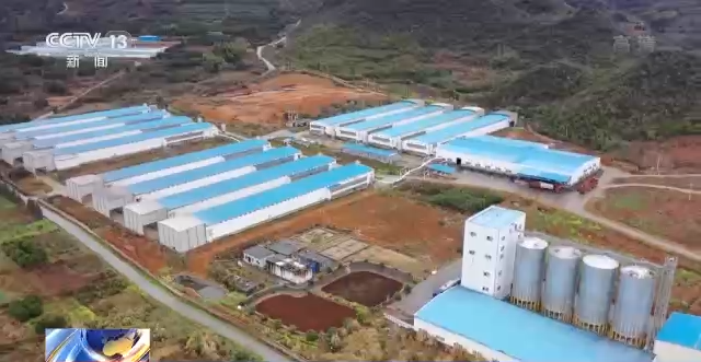 ayx爱游戏官方网页：农业墟落部：众措并举促进农业墟落绿色发达(图2)