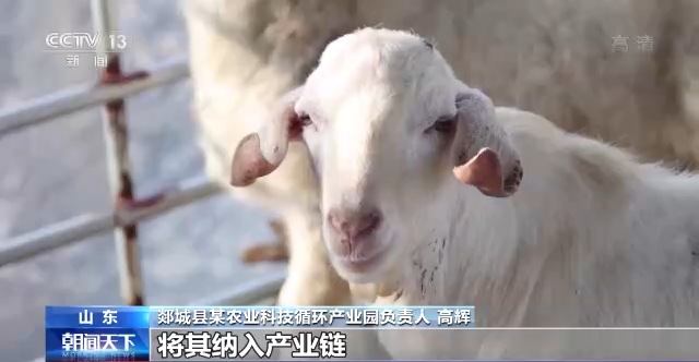 ayx爱游戏官方网页：农业墟落部：众措并举促进农业墟落绿色发达(图3)