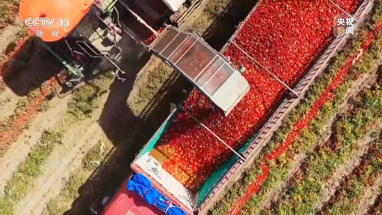 中心访道丨深耕科技膏壤 栽培聪敏农业(图6)