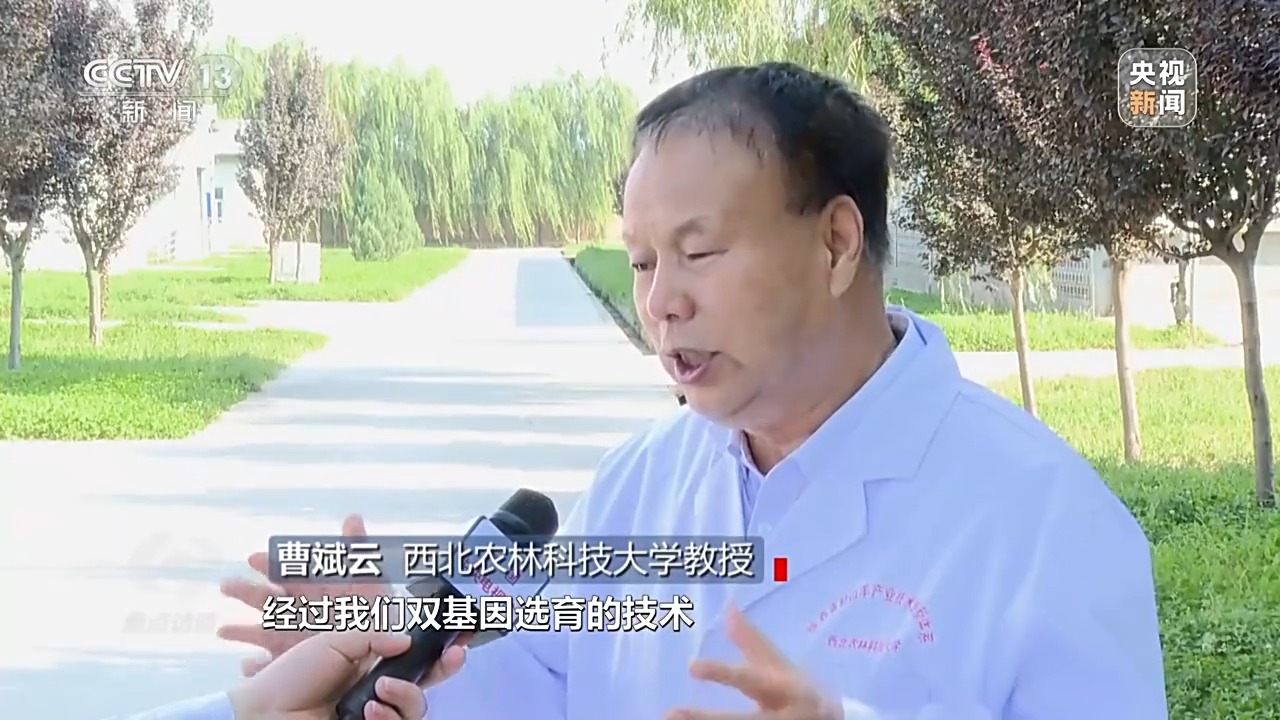 中心访道丨深耕科技膏壤 栽培聪敏农业(图11)
