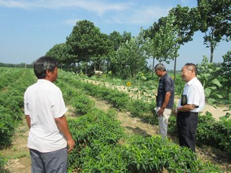 爱游戏app网页版官方入口：“天”上来“课”管理地上困难省级高级农艺师正在线教你“种菜”(图2)