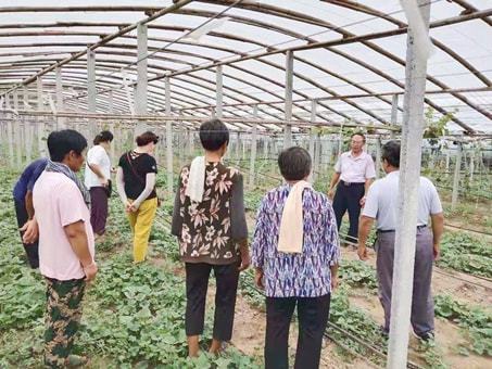 爱游戏app网页版官方入口：“天”上来“课”管理地上困难省级高级农艺师正在线教你“种菜”(图4)