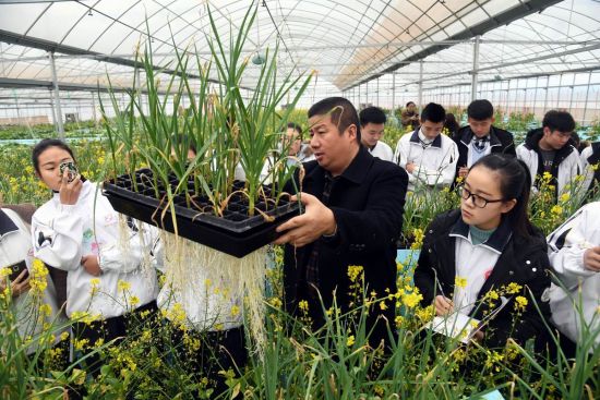 ayx爱游戏官方网页：花草种植步骤简介及栽培学问