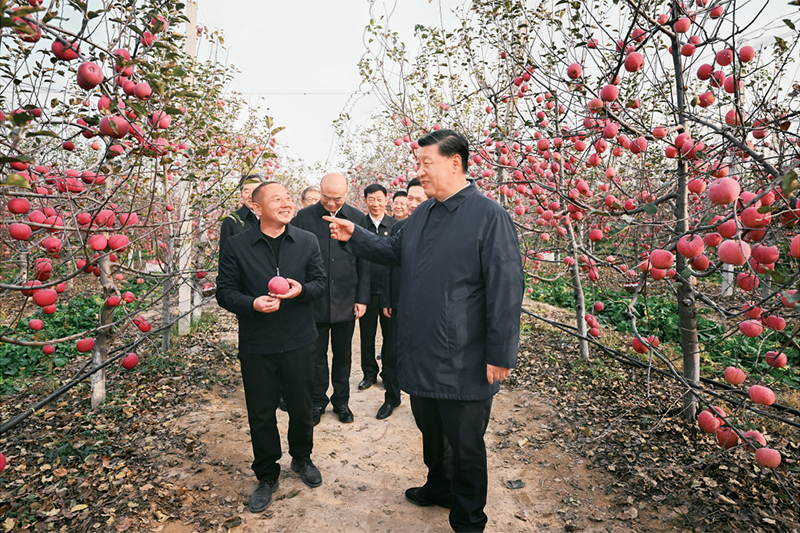 ayx爱游戏官方网页：加快创设农业强邦促进农业乡村今世化(图1)