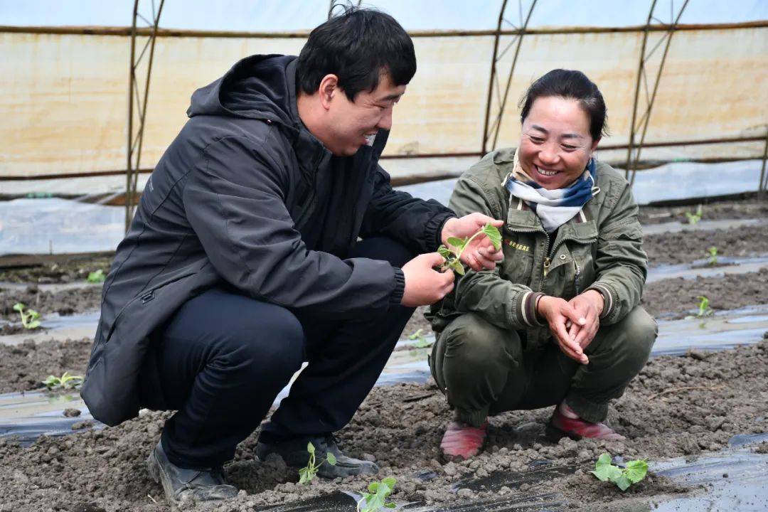 【856·特点种植】“三张牌”打出水稻秧棚致富增收新疆土(图2)