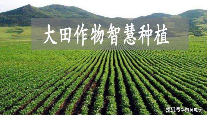 【农业科研】大田作物灵巧种植症结技能与区域形式(图1)