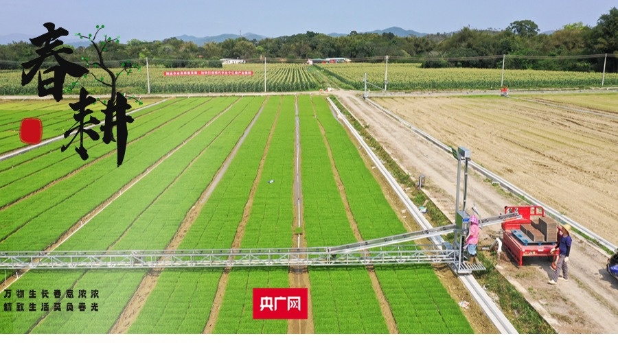 设立大农业观把农业修成新颖化大工业
