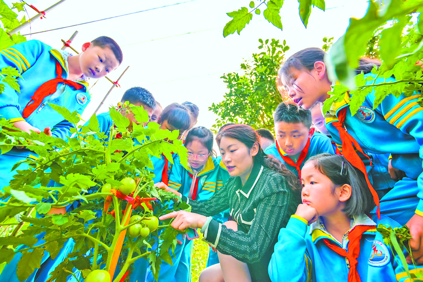 无缺版园艺植物栽培学学问点