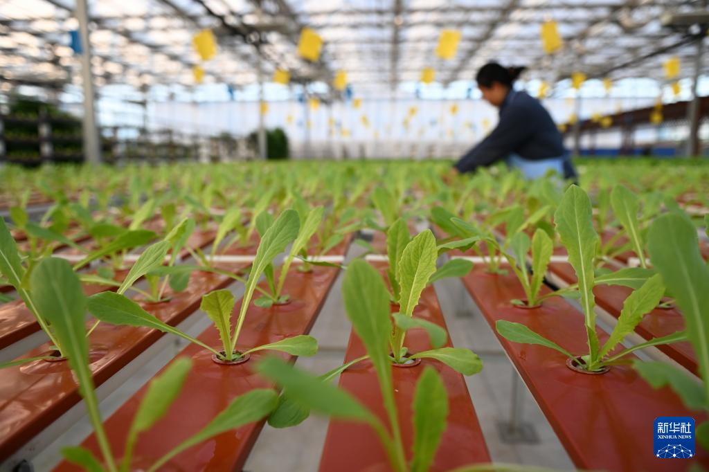 栽培管制技能范文10篇