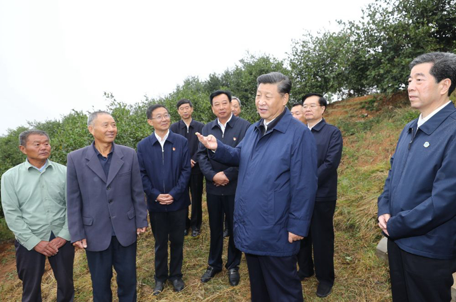 农业强乡村美农夫富习如此存眷三农题目(图3)