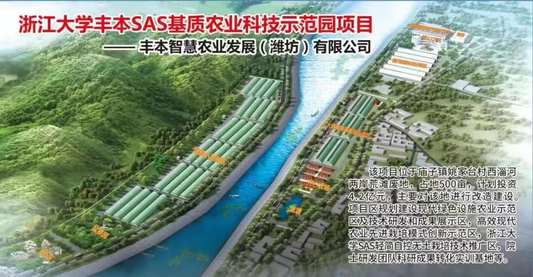 “无土”栽培 “有心”种植 青州市庙子镇山区农业新测试(图1)