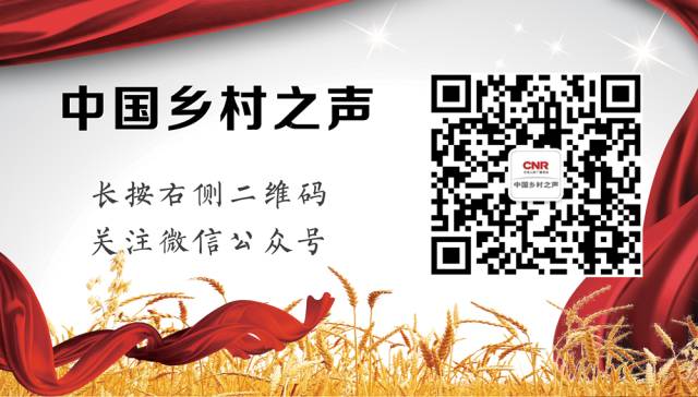 爱游戏app官方网站手机版：专家详解怎么做到程序化种植(图1)