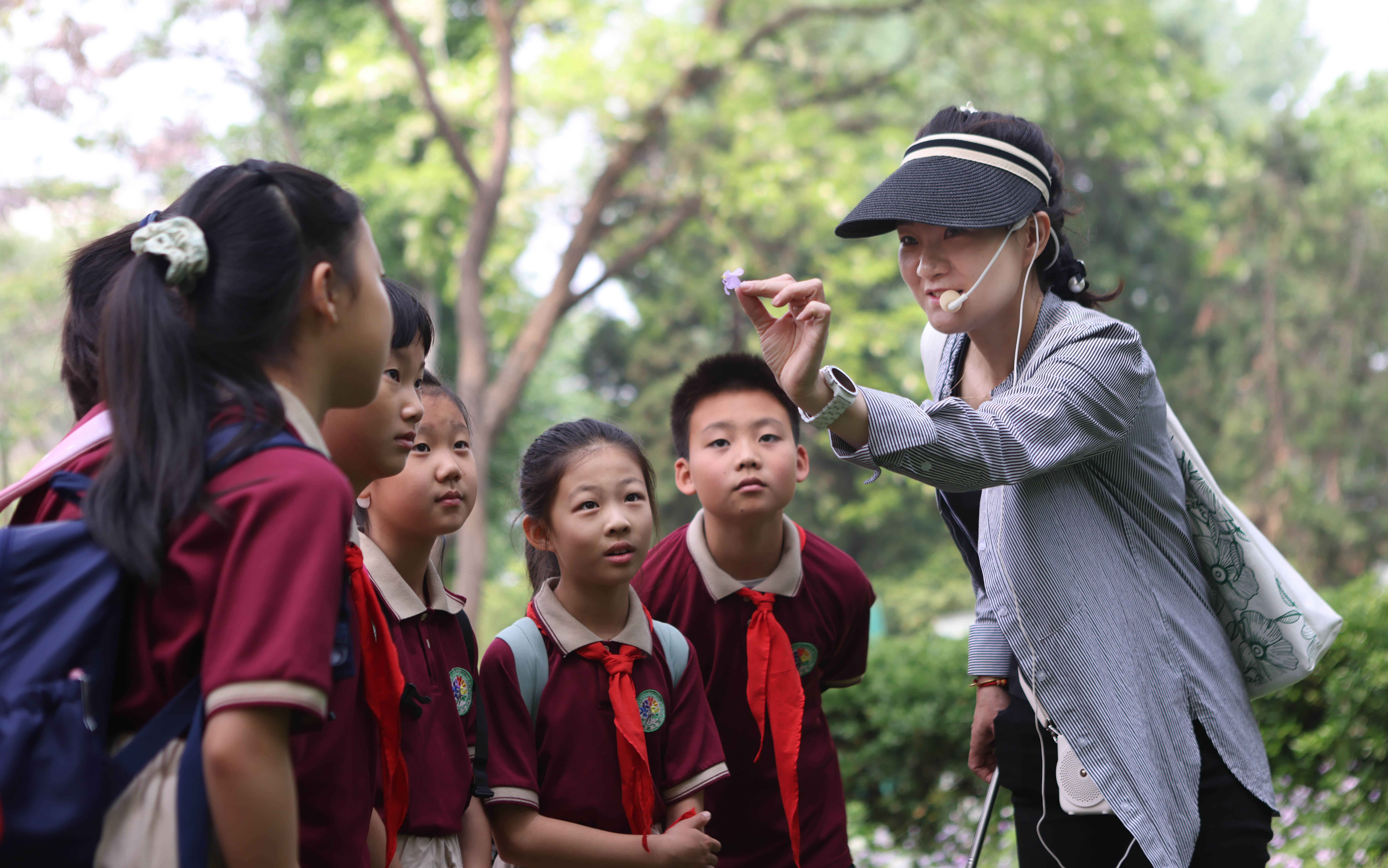 ayx爱游戏官方网页：北京市少年宫植物大讲堂开课300余小学生与大自然亲密接触(图1)