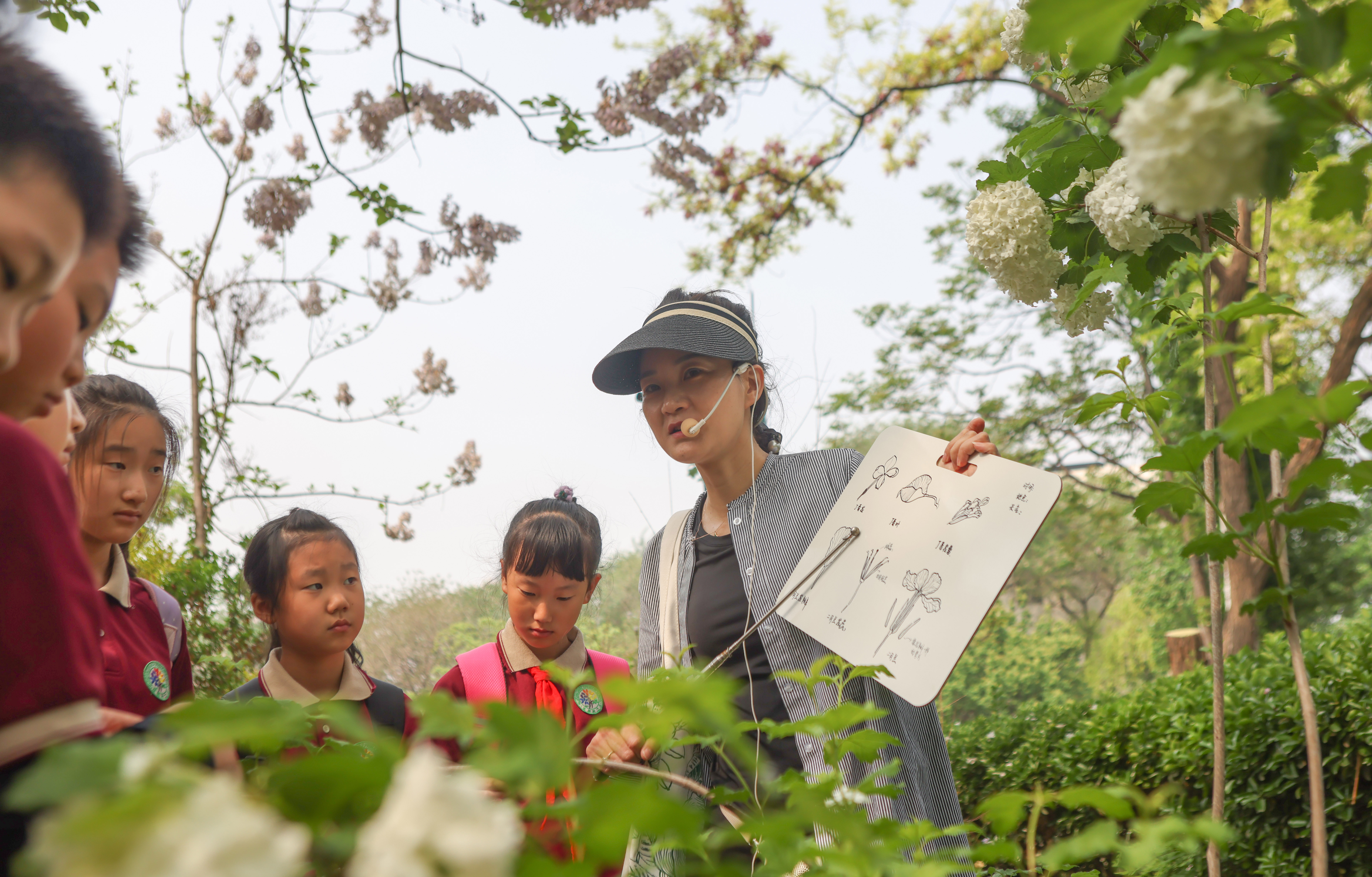 ayx爱游戏官方网页：北京市少年宫植物大讲堂开课300余小学生与大自然亲密接触(图3)