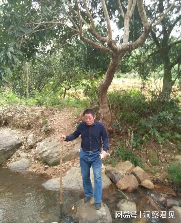爱游戏app官方网站手机版：聊聊种植业：种地的近况(图1)