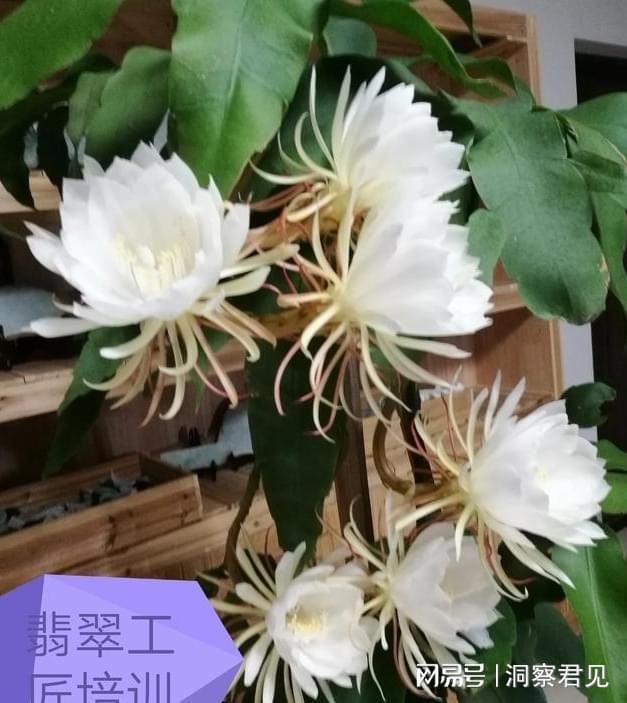 爱游戏app官方网站手机版：聊聊种植业：种地的近况(图3)