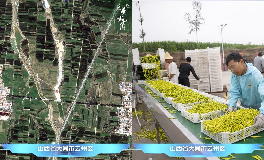 爱游戏app官方网站手机版：卫星视角｜随从萍踪看我邦农业新图景(图2)