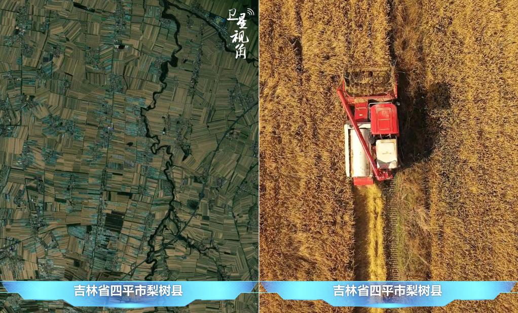 爱游戏app官方网站手机版：卫星视角｜随从萍踪看我邦农业新图景(图4)