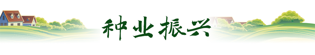 爱游戏app官方网站手机版：卫星视角｜随从萍踪看我邦农业新图景(图5)