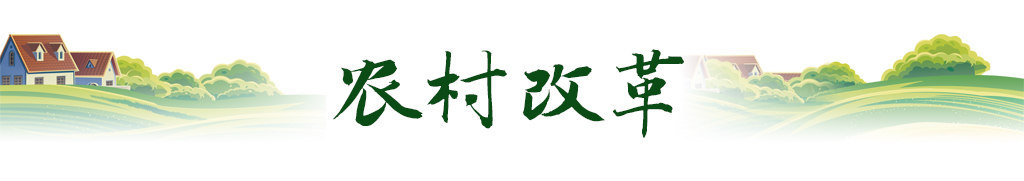 爱游戏app官方网站手机版：卫星视角｜随从萍踪看我邦农业新图景(图7)