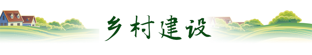 爱游戏app官方网站手机版：卫星视角｜随从萍踪看我邦农业新图景(图9)