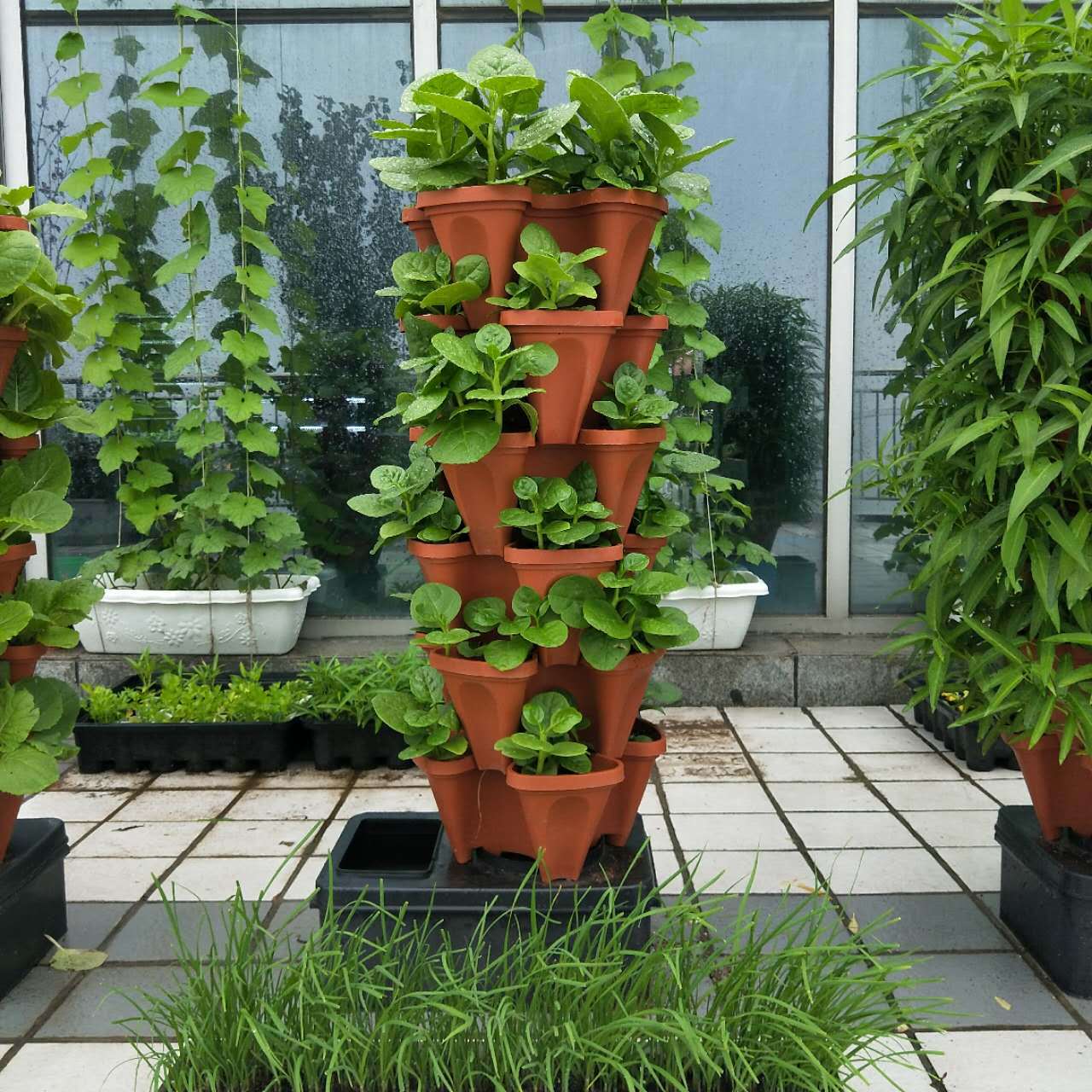 爱游戏app网页版官方入口：春耕进度疾于往年大豆种植面积落实扩大前辈栽培手艺一季度我省农业坐蓐亮点纷呈