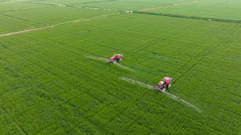 爱游戏app网页版官方入口：农业的观点-豆丁网