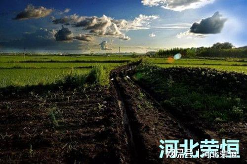 绿色种植根蒂正在哪里(图2)