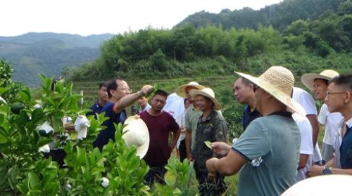 ayx爱游戏官方网页：大学作物栽培学常识点总结