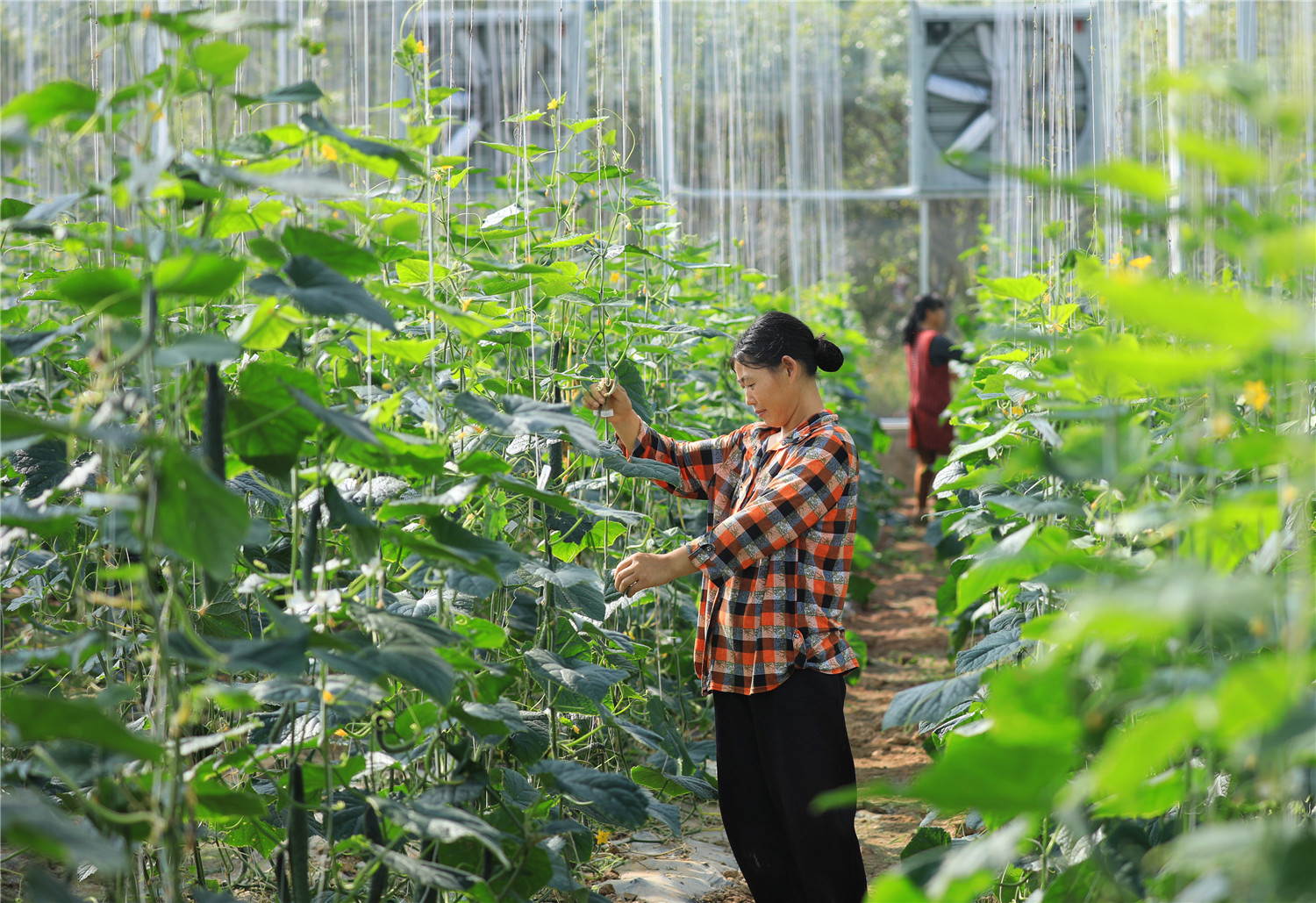 爱游戏app官方网站手机版：农业板块功绩平定内部机合分裂分明