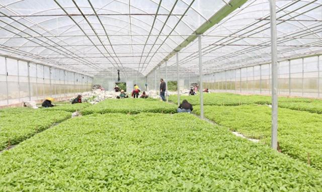 农业种植app有哪些？合于农业种植app举荐-农业种植app官方下载